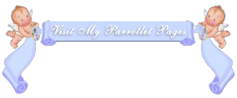 Click here to visit my parrotlet pages