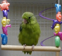 Click on image to view full sized