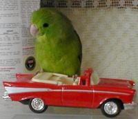 click to view full sized image